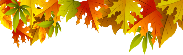 Желтые листья на белом фоне