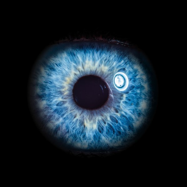 Проект глаз Луны