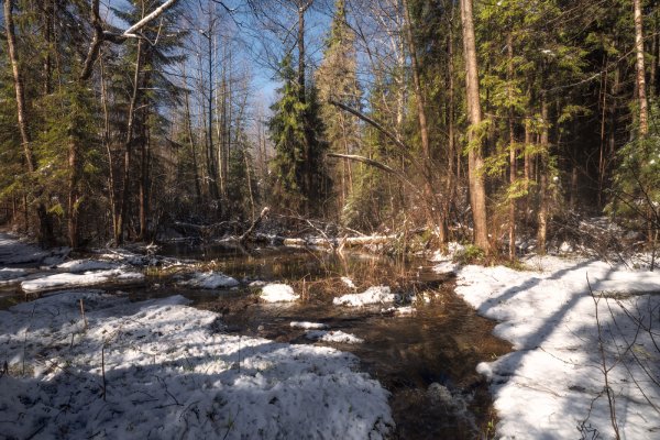 Весна ручейки