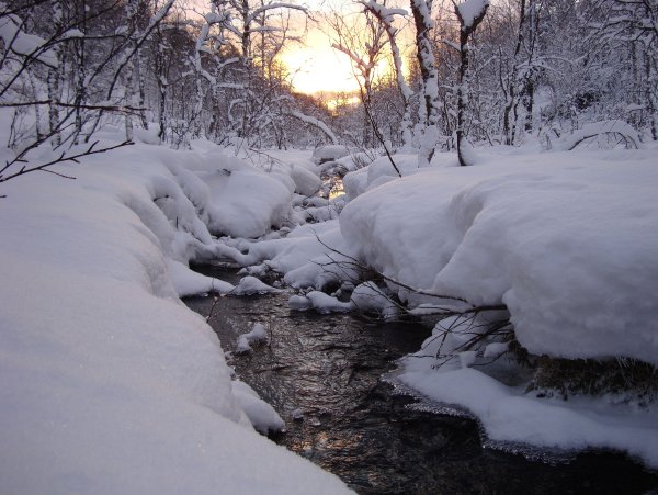 Весенние ручьи