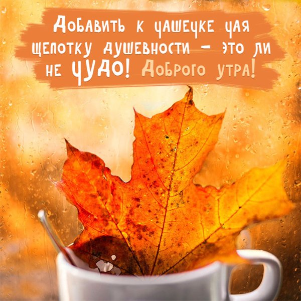 Доброе осеннее утро