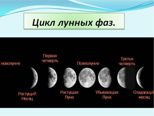 Цикл лунных фаз