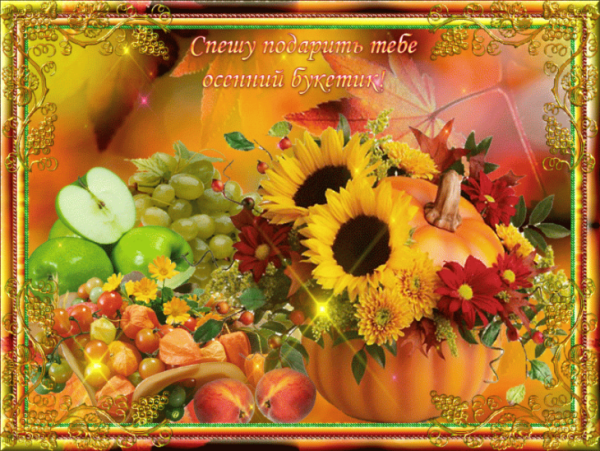 Хороших осннн х выходных