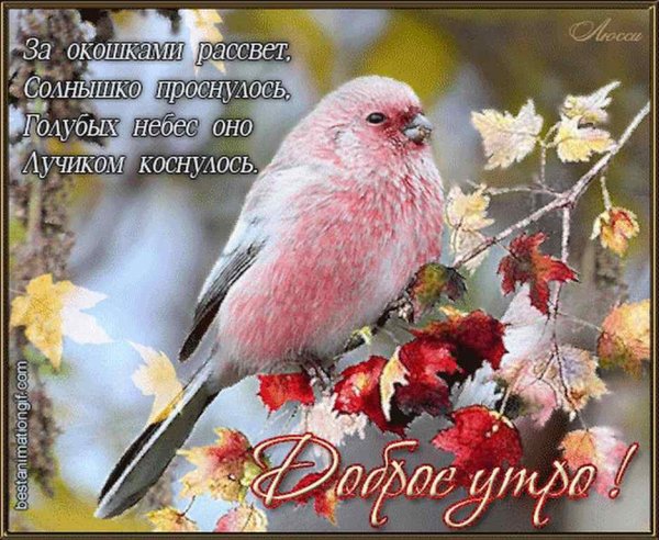 Открытки с добрым ноябрьским утром