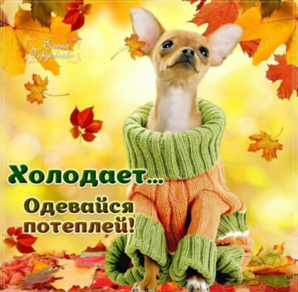 Пора утепляться на осень