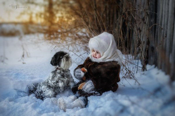 Зима снег дети животные