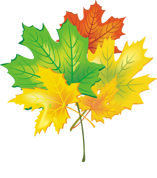 Кленовый лист школа