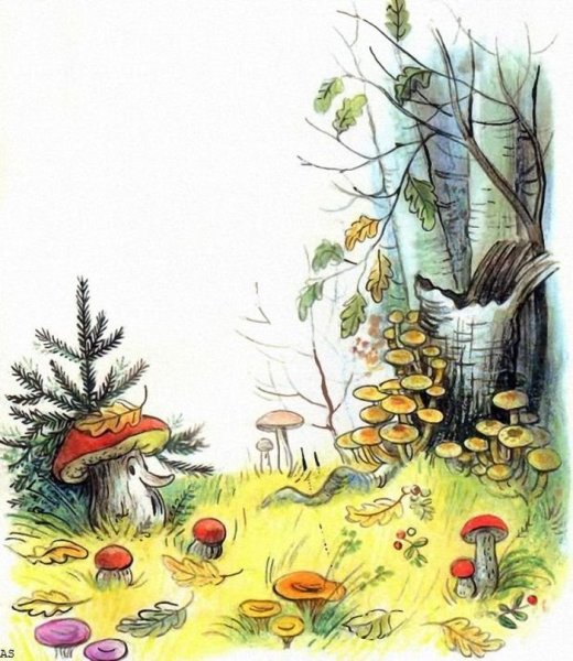 Гриб Боровик Сутеев