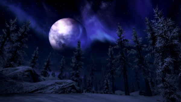 Луна в лесу