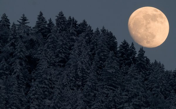 Полнолуние зима