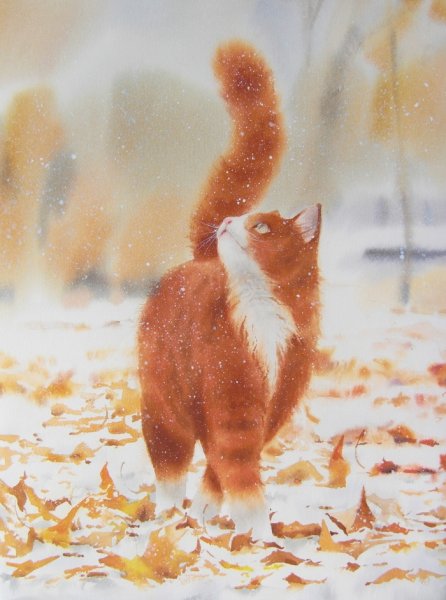 Татьяна Бехтгольд кошки коты