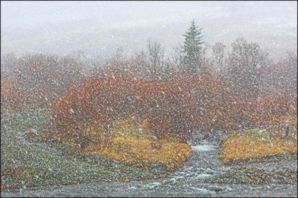 Осень снег с дождем