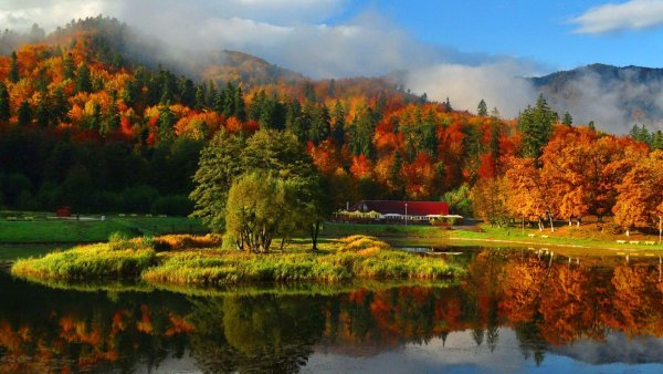 Осенний пейзаж
