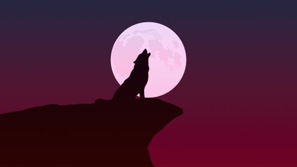 Howling Wolf музыкант