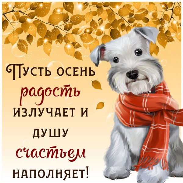 Осенние открытки с пожеланиями