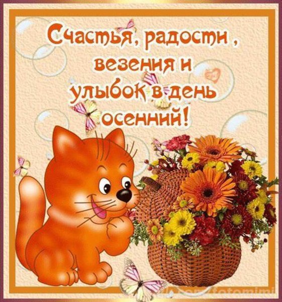 Пожелания хорошего дня и здоровья