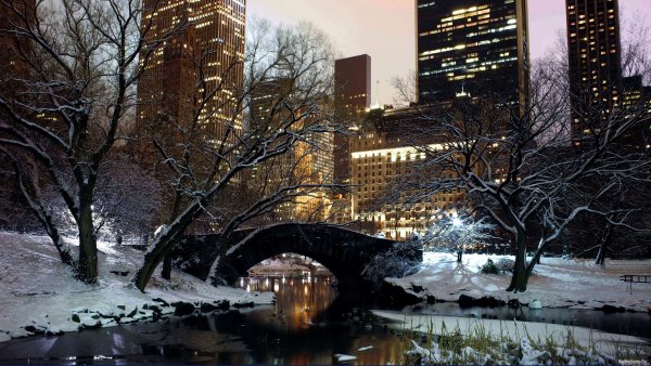 Зимний Центральный парк Нью-Йорк