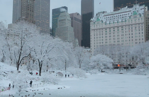 Центральный парк Нью Йорк снегопад