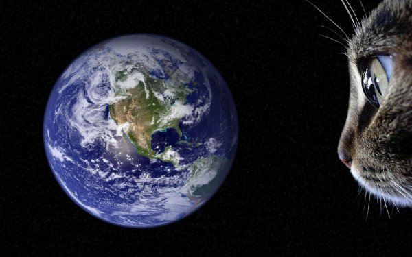 Марс по сравнению с землей Размеры