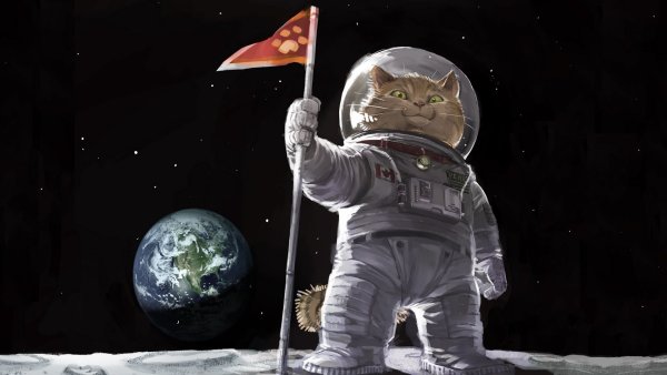 Котик в скафандре