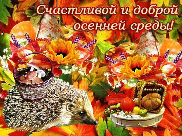 Счастливой среды осени