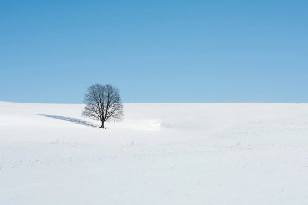 Заснеженная равнина