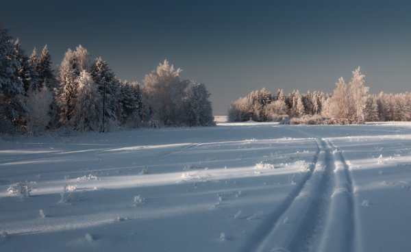 Зимний пейзаж поле