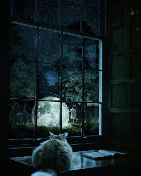 Луна за окном