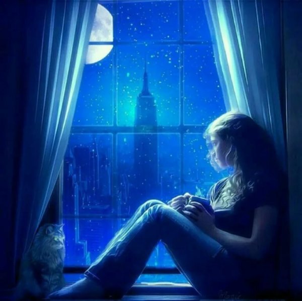 Лунный свет в окне
