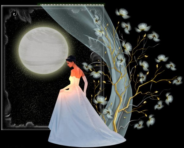 Девушка в платье под луной
