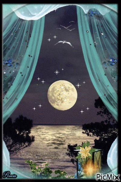 Доброй летней ночи