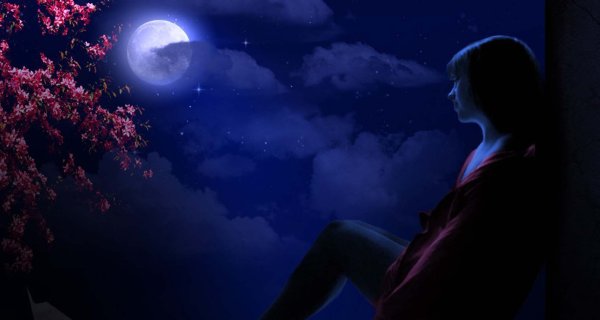 «Лунная ночь.раздумье»