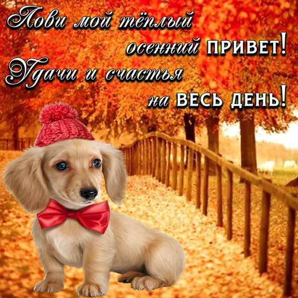 Красивые осенние пожелания