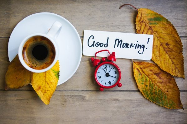 Good morning осенние