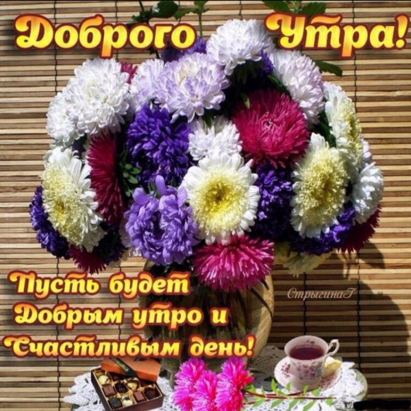 Пожелания с добрым утром с хризантемами