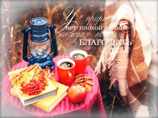 Тепла в холодный осенний день