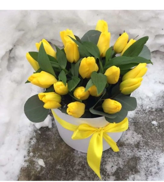 Букет тюльпанов на снегу