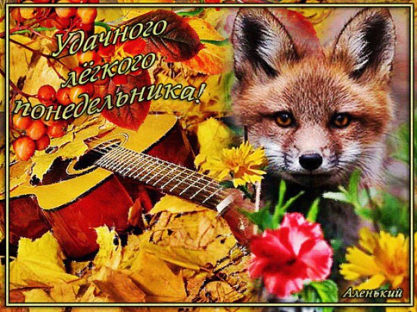 Доброго осеннего понедельника и хорошего настроения