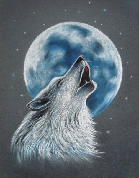 Аолк аоет налунк срисовка