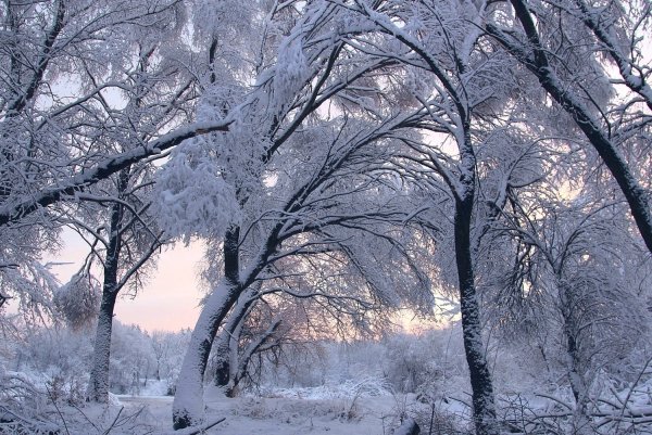 Тихий снегопад