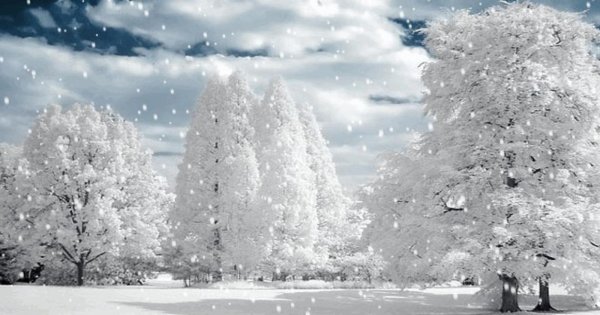 Стихи о зиме красивые