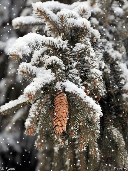 Падающий снег