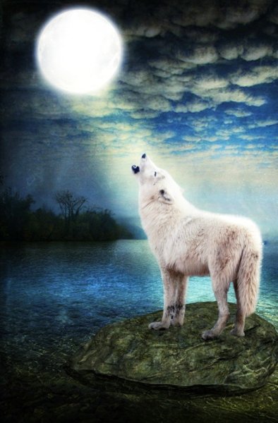 Волчица Луны Moon