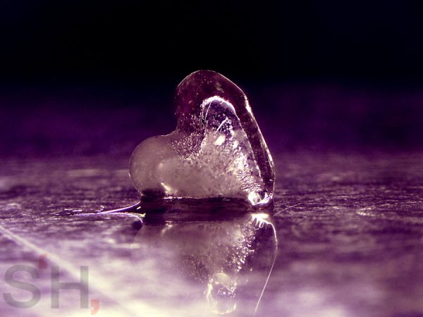 Ледяное сердце тает