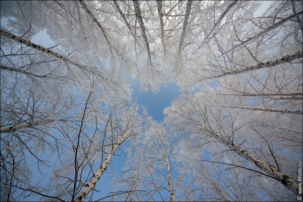 Солнце снег сердце