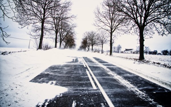 Снегопад на дороге