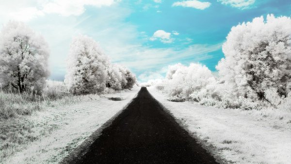 Зимняя дорога в даль