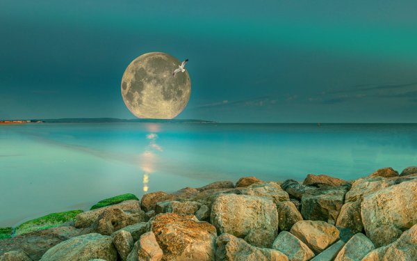 Луна и море