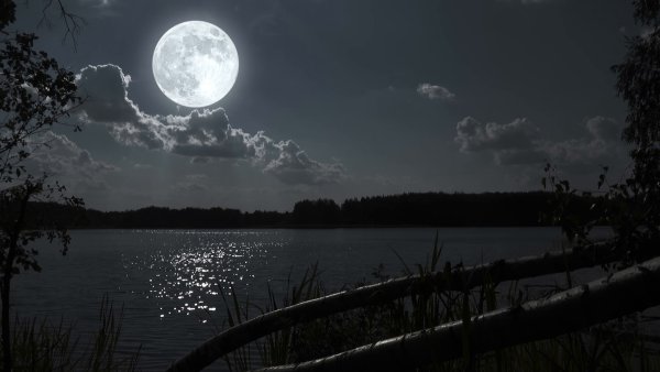 Ночь Луна