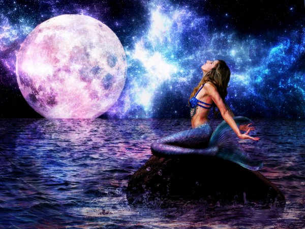 Sirens Digital блогер